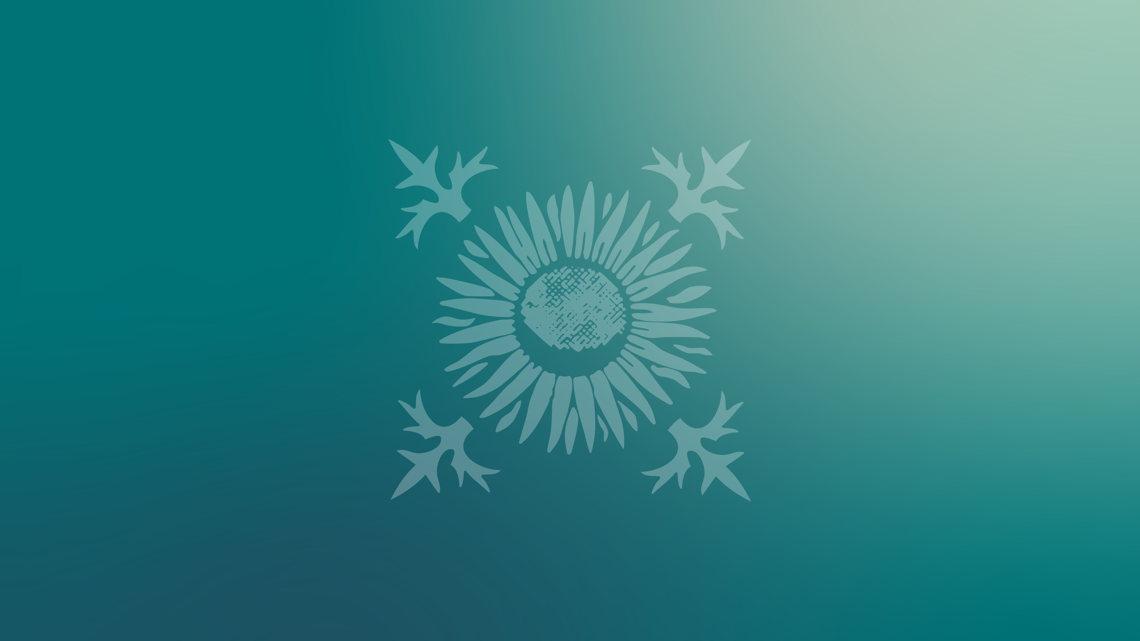 Rhön_Applikationen_Distel_Verlauf